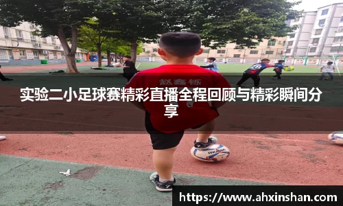 球速体育app